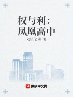 权与利：凤凰高中